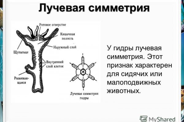 Зеркала крамп онион 2krn.cc